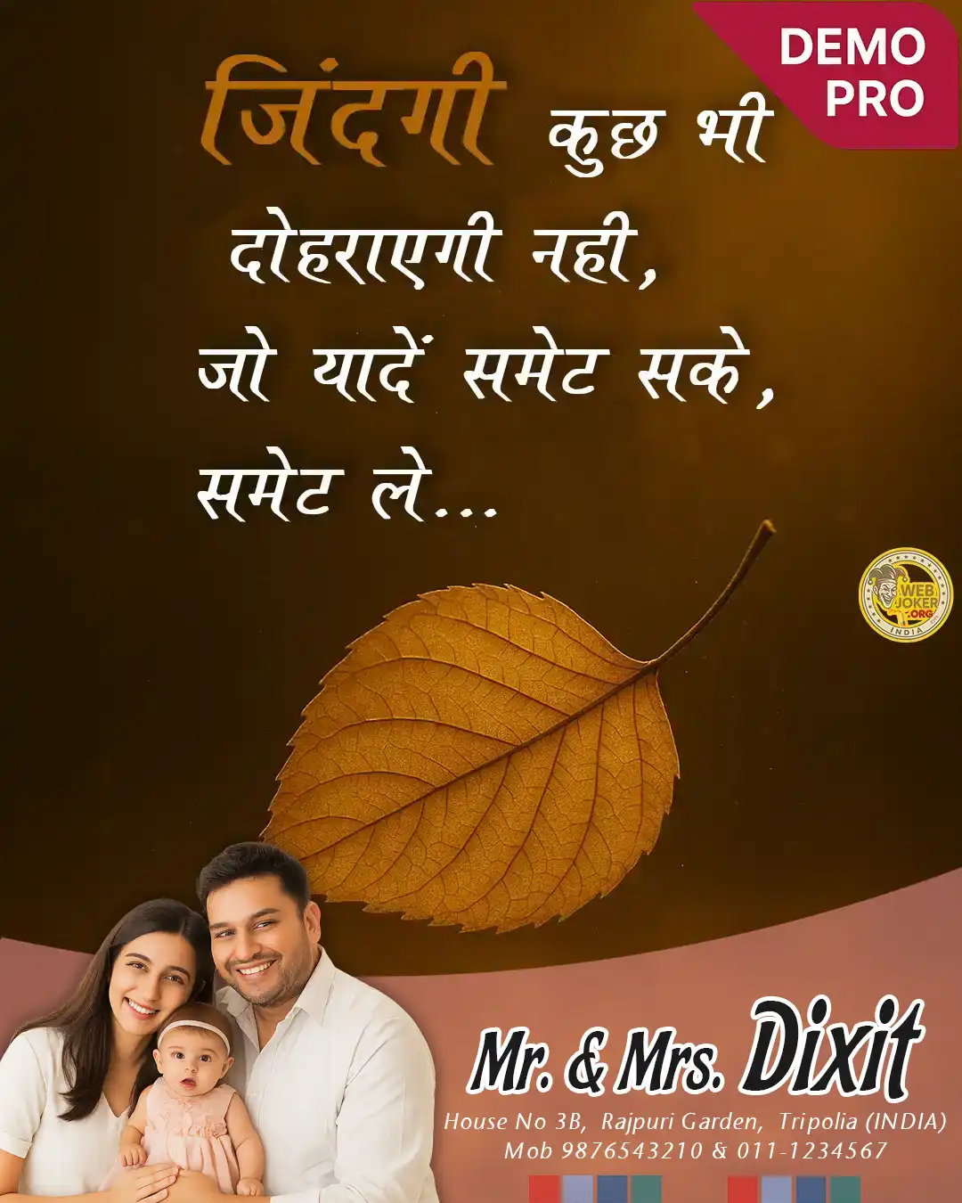 Pro demo 2 (1080×1350)